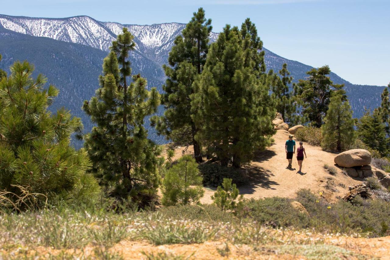 Honey Bear Lodge & Cabins Big Bear Lake Exterior photo