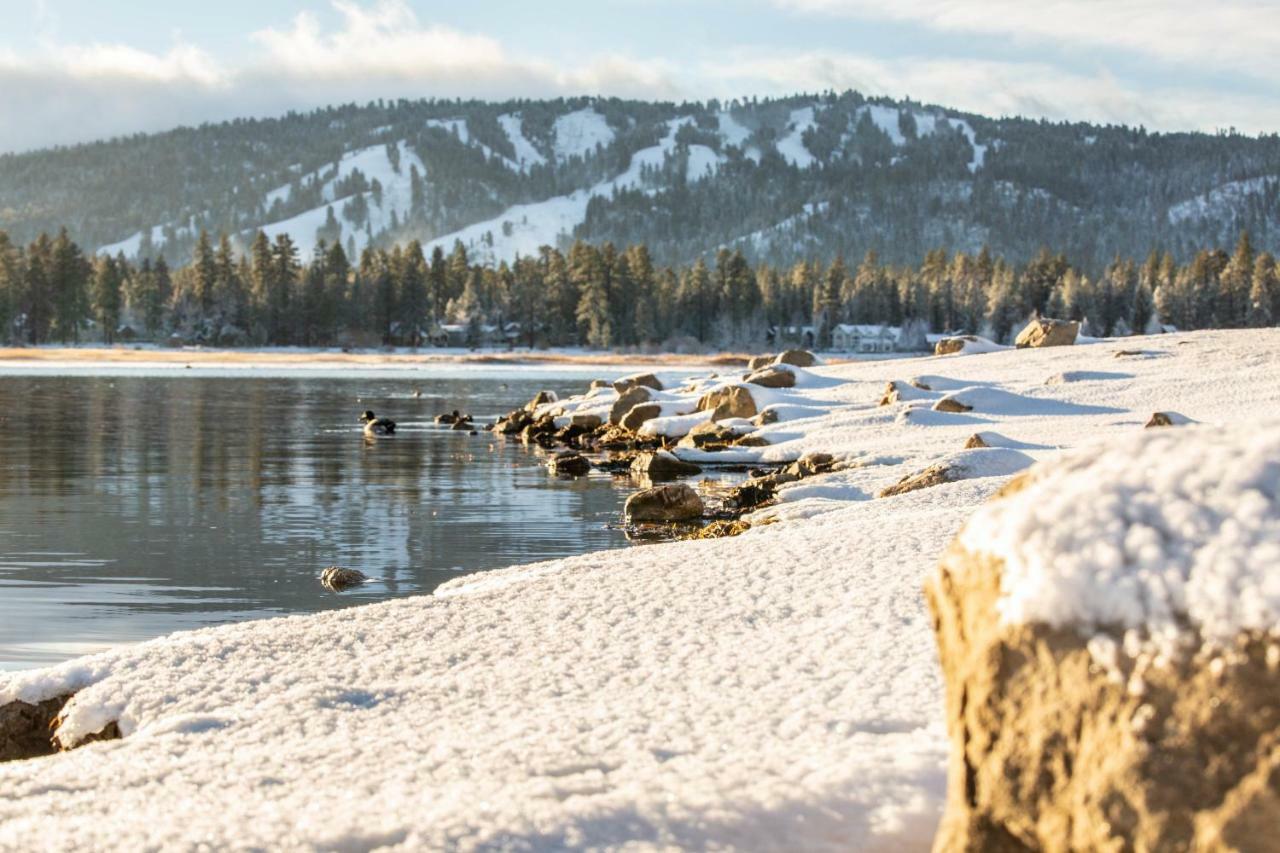 Honey Bear Lodge & Cabins Big Bear Lake Exterior photo